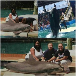 Meet your Posher, Naomi